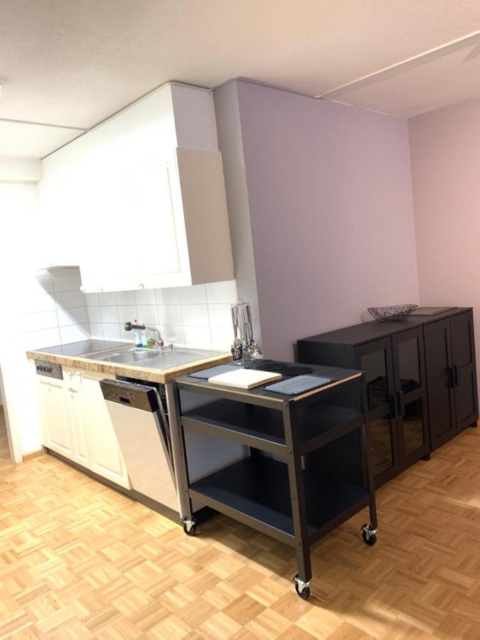 Xl City Center Apartment-Contactless Check-In Basilea Exterior foto